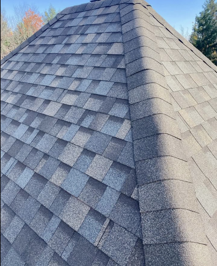 Roof inspection
